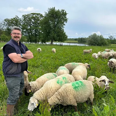 Coquelicot Ferme Du Domaine Les Bachats