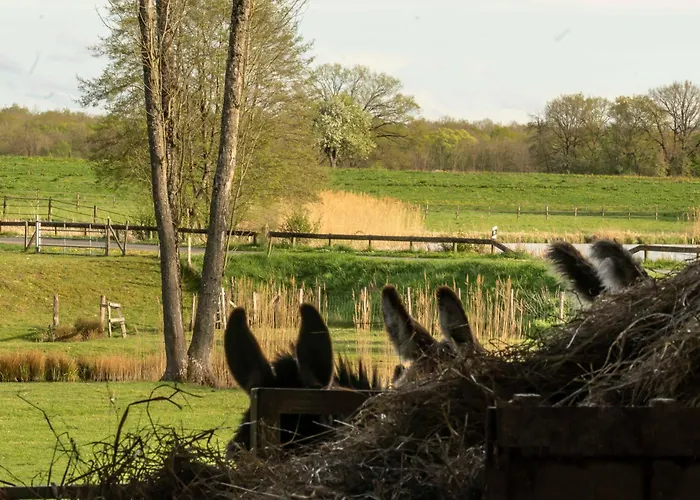 Coquelicot Ferme Du Domaine Les Bachats * Rhodes