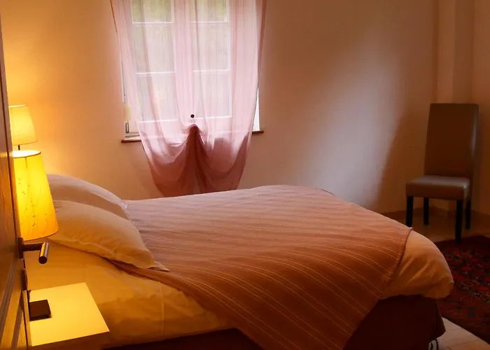 Coquelicot Ferme Du Domaine Les Bachats