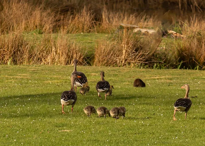 Apartment Coquelicot Ferme Du Domaine Les Bachats