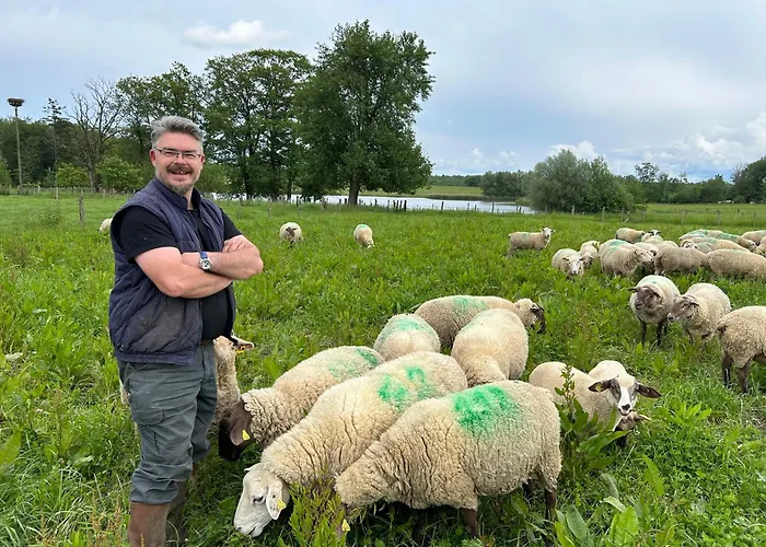 Coquelicot Ferme Du Domaine Les Bachats