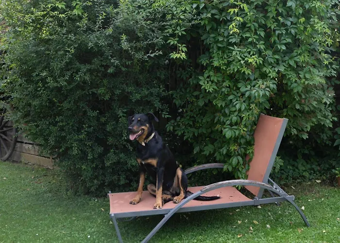 Apartment Coquelicot Ferme Du Domaine Les Bachats *