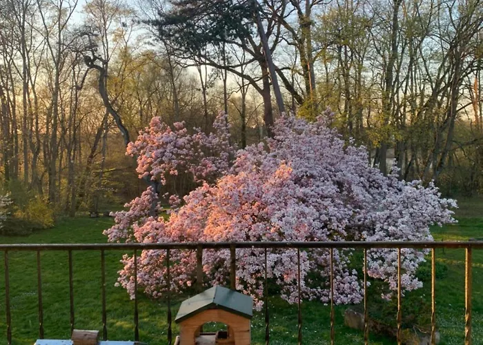 Apartment Coquelicot Ferme Du Domaine Les Bachats Rhodes