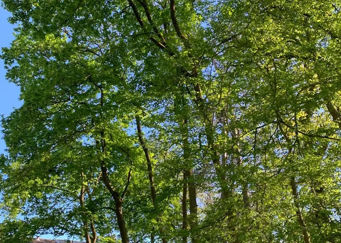 Coquelicot Ferme Du Domaine Les Bachats Rhodes