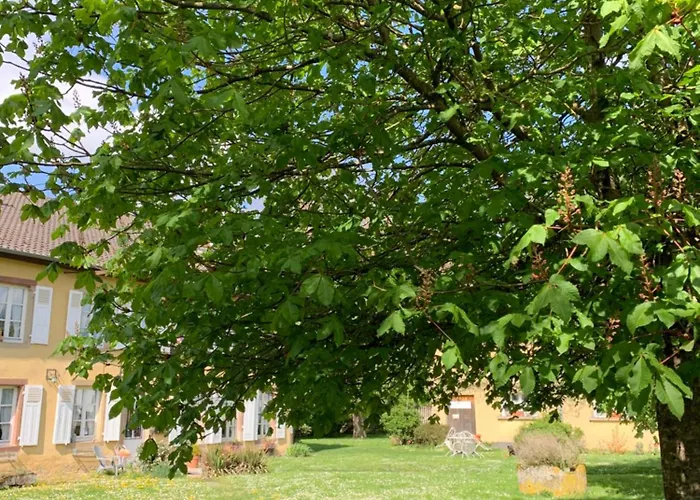 Coquelicot Ferme Du Domaine Les Bachats Apartment